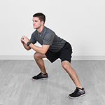 Lateral Squat